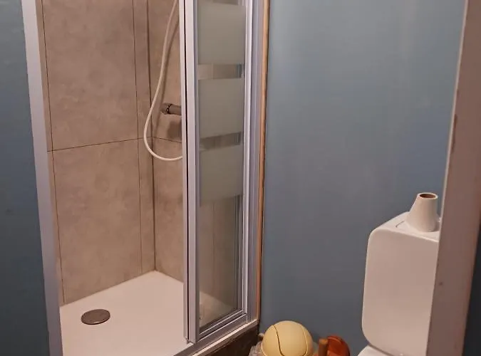 Le P'tit Chez Nous Au Galajou Apartment